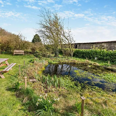 Tawny بيت للعطل *